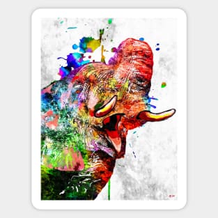 Colorful Elephant Sticker